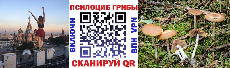 наркотики  Якутск  MEGA ссылки  Галлюциногенные грибы MAGIC MUSHROOMS 